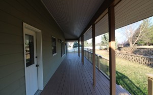 Back-Yard-3