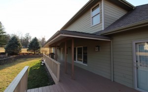 Back-Yard-4
